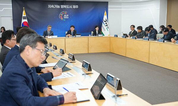 17일 열린 제주도 주간혁신성장회의. ⓒ헤드라인제주